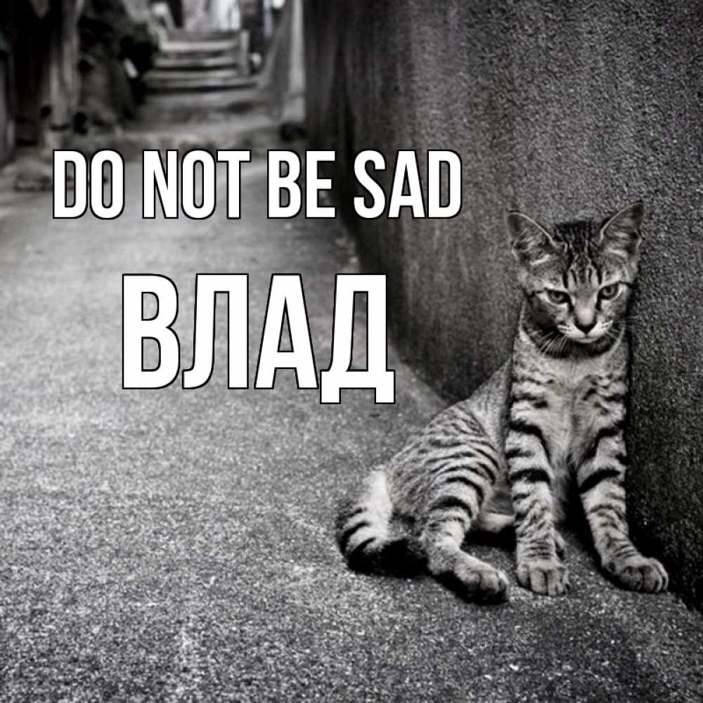 Greetings card с именем, Влад Do not be sad скучающий котик Greetings with text for free download 