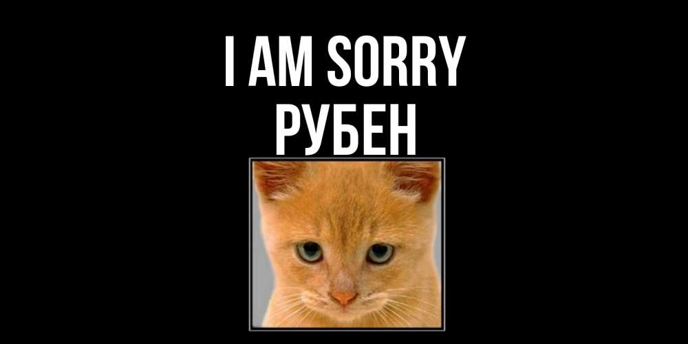 Greetings card с именем, Рубен I am sorry рыжий грустный кот просит прощения Greetings with text for free download 