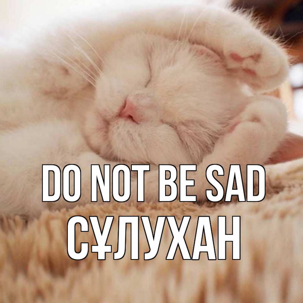 Greetings card с именем, СҰЛУХАН Do not be sad белый кот Greetings with text for free download 