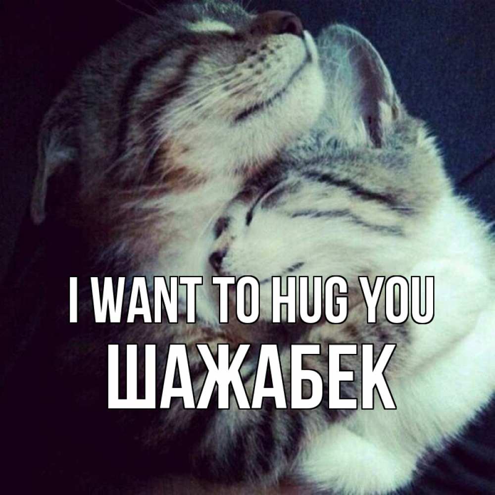 Greetings card с именем, ШАЖАБЕК I want to hug you полосатики Greetings with text for free download 
