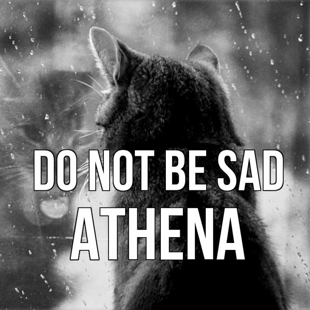 Greetings card с именем, Athena Do not be sad отражение кота 1 Greetings with text for free download 