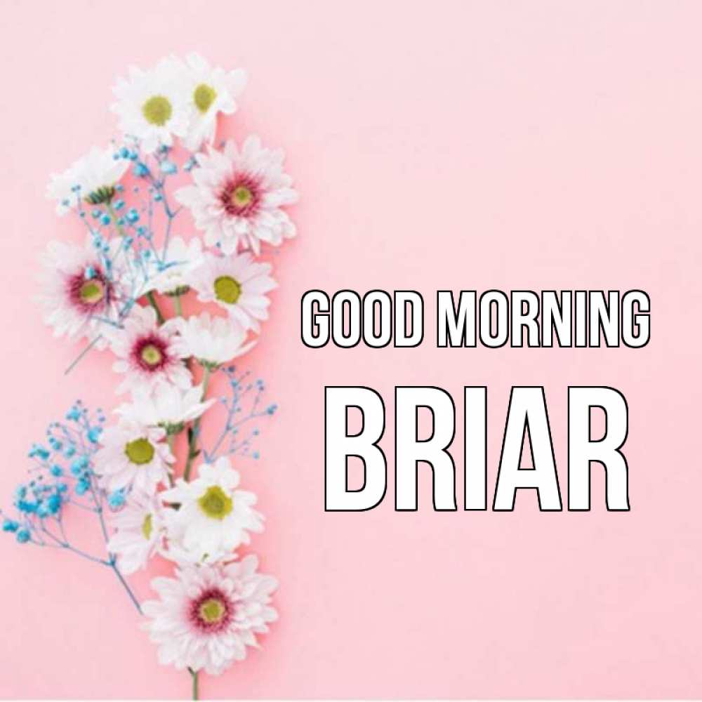 Greetings card с именем, Briar Good morning цветы с подписью Greetings with text for free download 