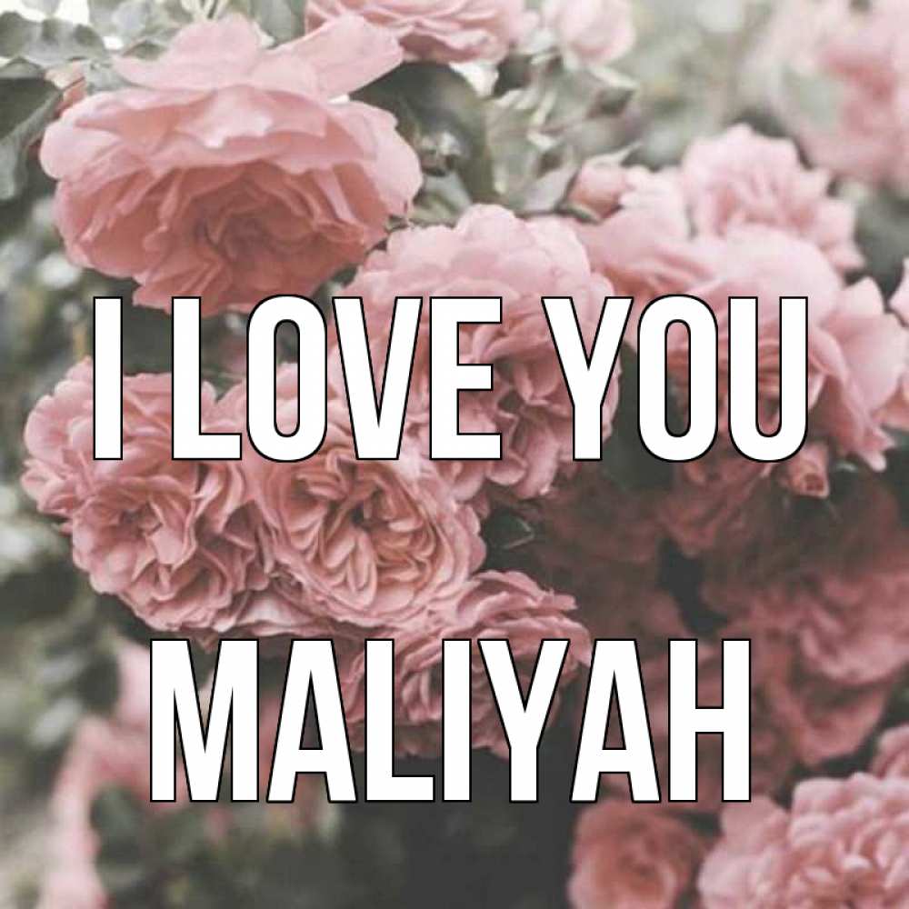 Greetings card с именем, Maliyah I love you розы 3 Greetings with text for free download 