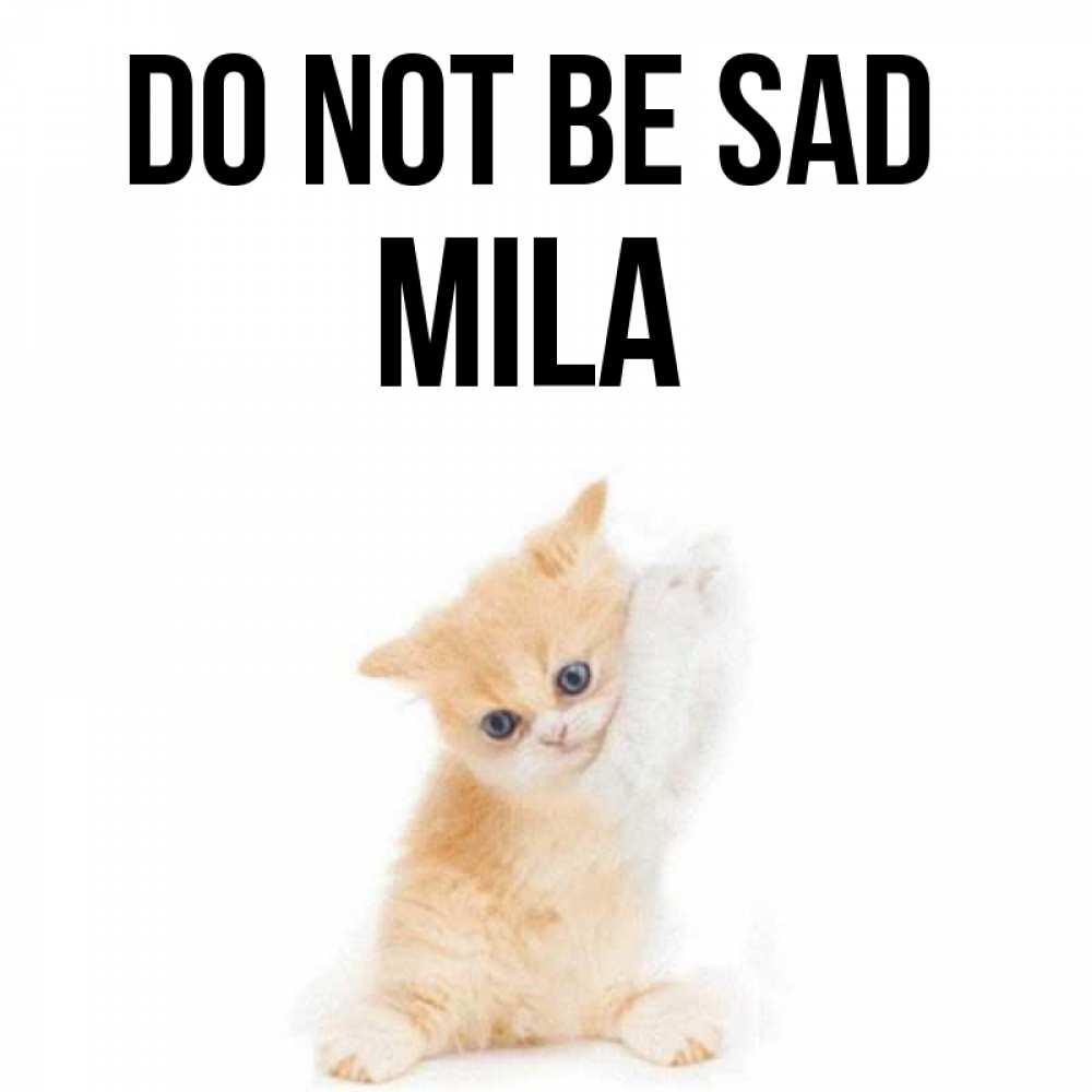 Greetings card с именем, Mila Do not be sad просящий кот Greetings with text for free download 