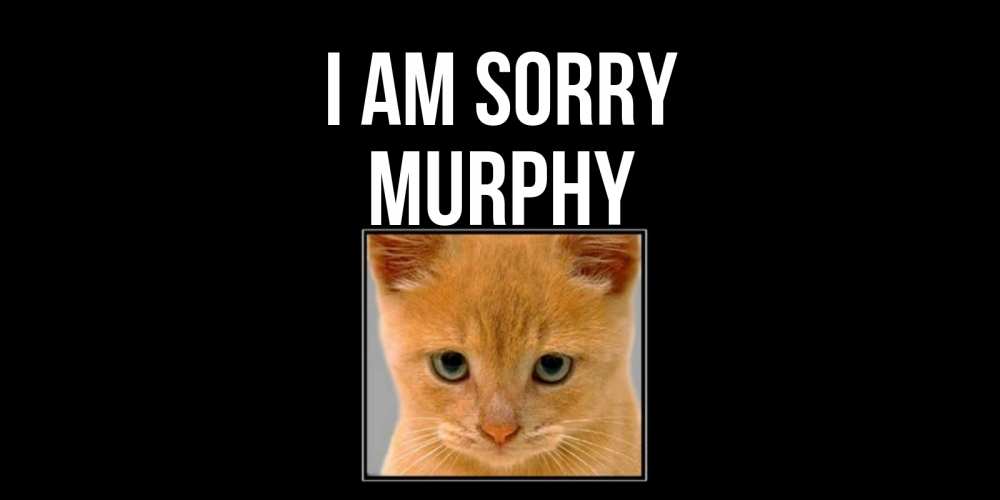 Greetings card с именем, Murphy I am sorry рыжий грустный кот просит прощения Greetings with text for free download 