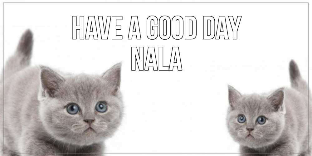 Greetings card с именем, Nala Have a good day открытка с котами Greetings with text for free download 