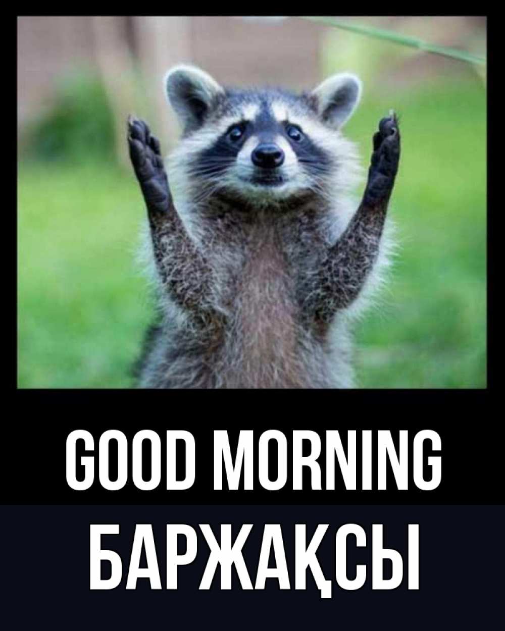 Greetings card с именем, Баржақсы Good morning хорошее настроение утречком Greetings with text for free download 