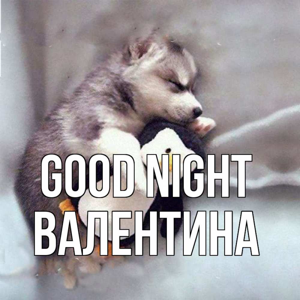 Greetings card с именем, Валентина Good night обнимашки щенка и пингвина Greetings with text for free download 