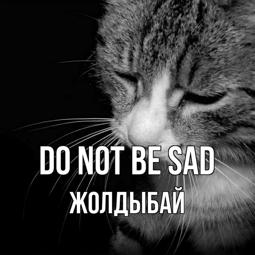Greetings card с именем, Жолдыбай Do not be sad грустный котик Greetings with text for free download 