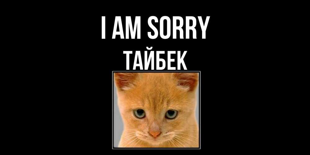 Greetings card с именем, ТАЙБЕК I am sorry рыжий грустный кот просит прощения Greetings with text for free download 