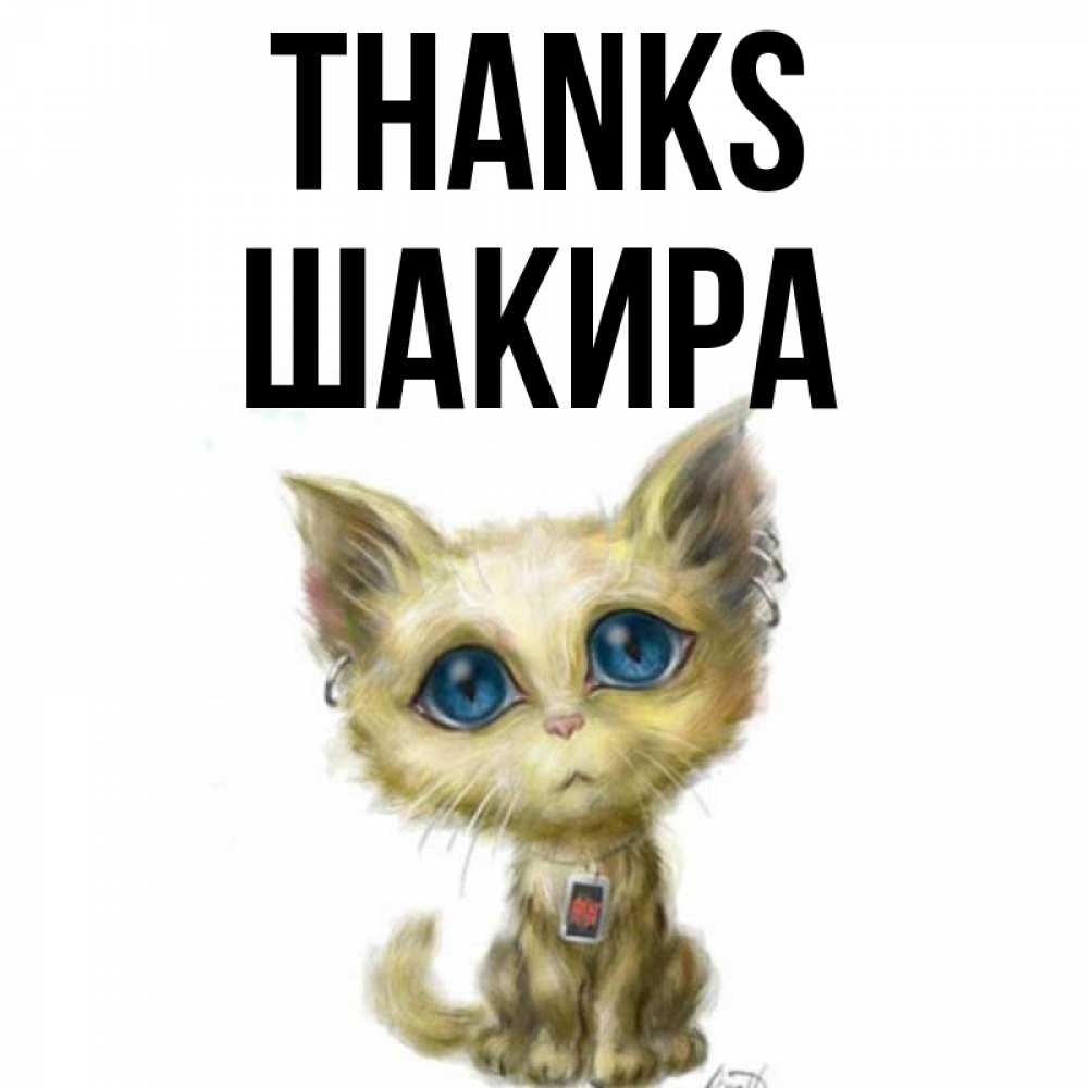 Greetings card с именем, Шакира Thanks рисованный кот благодарит вас Greetings with text for free download 