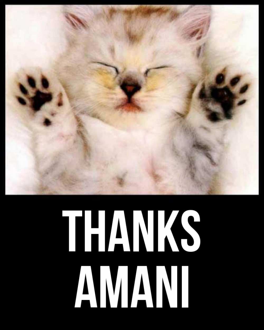 Greetings card с именем, Amani Thanks маленький котенок Greetings with text for free download 