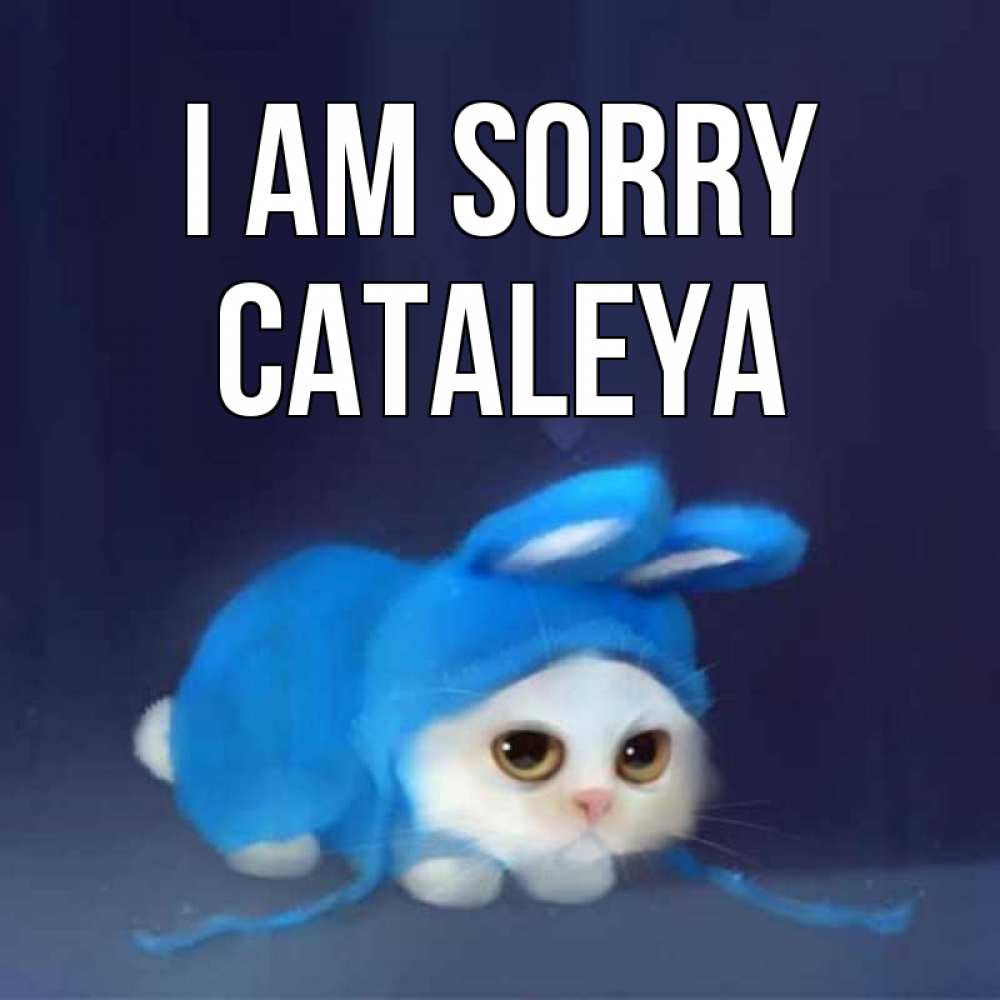 Greetings card с именем, Cataleya I am sorry невинный котозай просит прощения Greetings with text for free download 