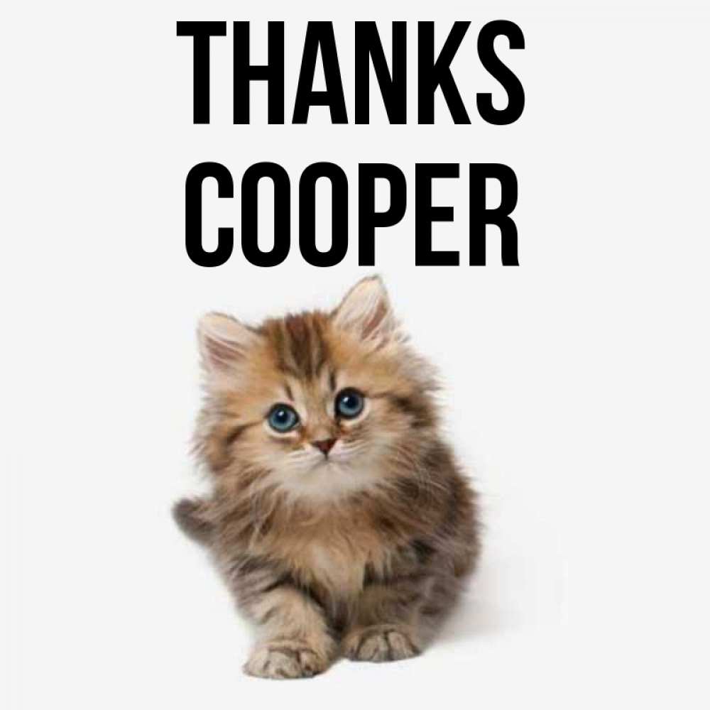 Greetings card с именем, Cooper Thanks пушистый котик Greetings with text for free download 