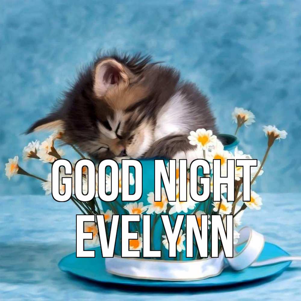 Greetings card с именем, Evelynn Good night котенок спит в кружке с блюдцем Greetings with text for free download 