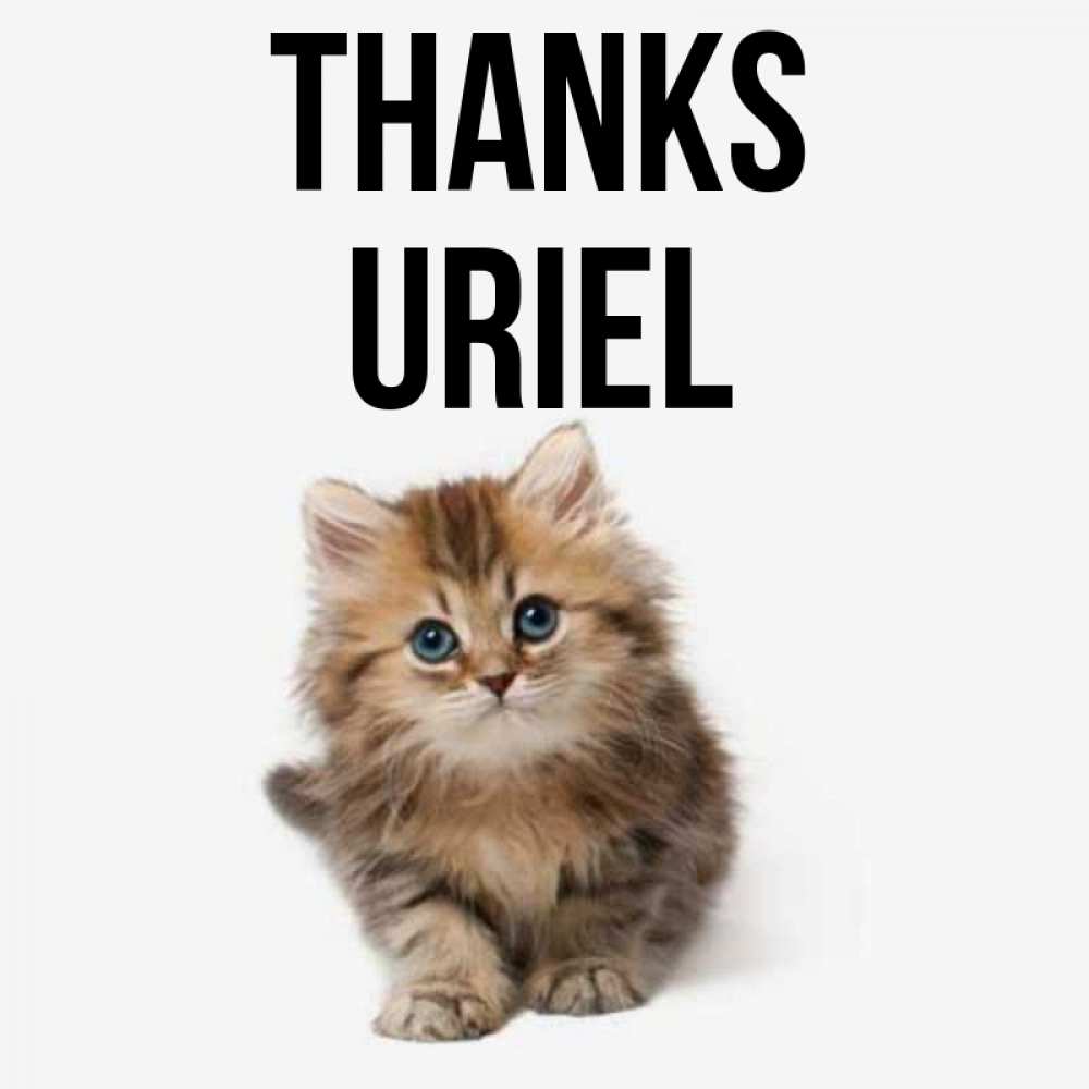 Greetings card с именем, Uriel Thanks пушистый котик Greetings with text for free download 