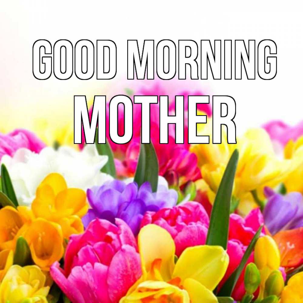 Greetings card с именем, mother Good morning создать открытку со свое подписью Greetings with text for free download 