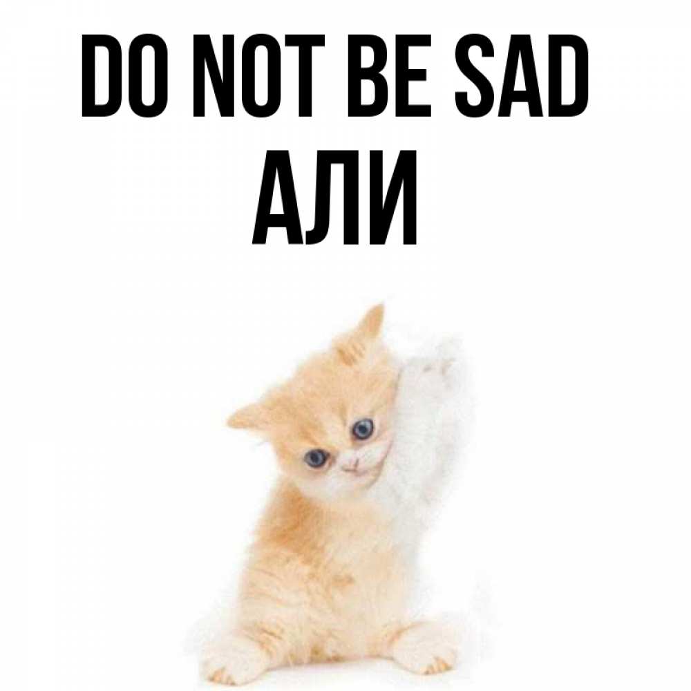 Greetings card с именем, Али Do not be sad просящий кот Greetings with text for free download 