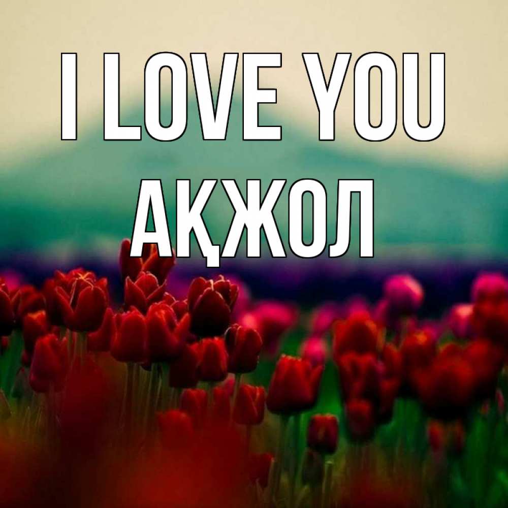 Greetings card с именем, Ақжол I love you тюльпаны 4 Greetings with text for free download 