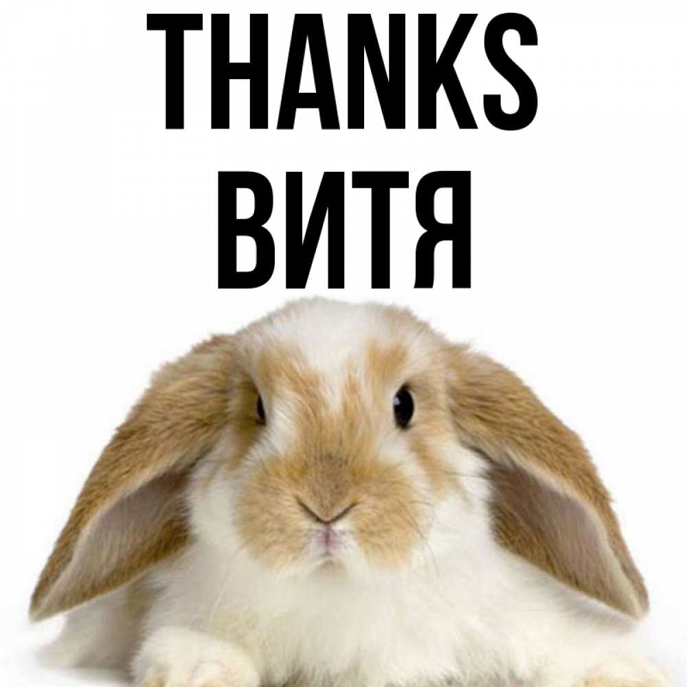 Greetings card с именем, Витя Thanks коричнево белый заяц Greetings with text for free download 