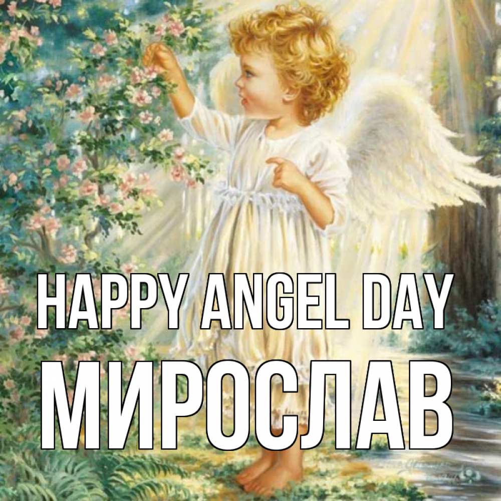 Greetings card с именем, Мирослав happy angel day собирает цветы Greetings with text for free download 