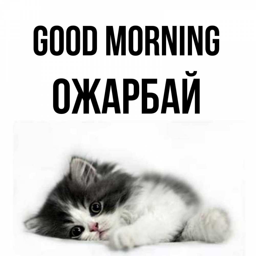 Greetings card с именем, ОЖАРБАЙ Good morning кот лапки Greetings with text for free download 