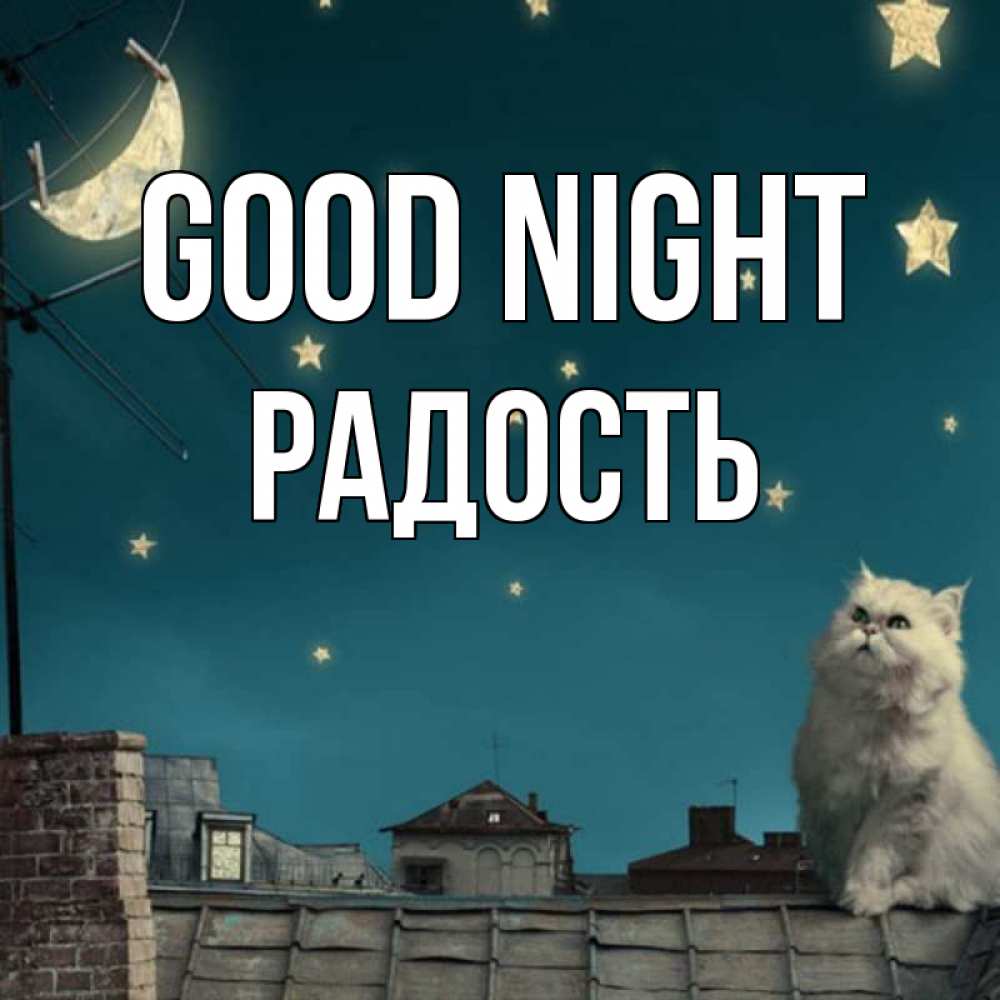 Greetings card с именем, Радость Good night белый кот сидит на крыше Greetings with text for free download 