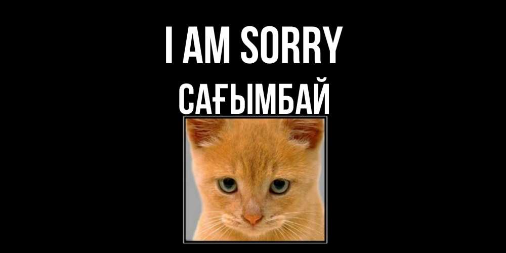 Greetings card с именем, Сағымбай I am sorry рыжий грустный кот просит прощения Greetings with text for free download 