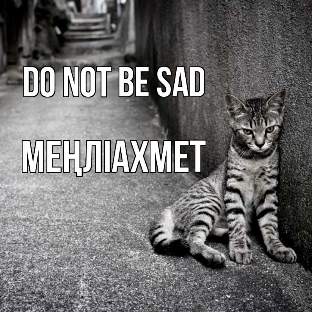 Greetings card с именем, МЕҢЛІАХМЕТ Do not be sad скучающий котик Greetings with text for free download 
