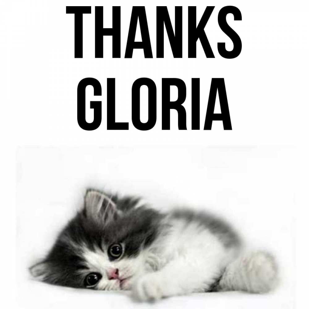 Greetings card с именем, Gloria Thanks черный и белый кот Greetings with text for free download 
