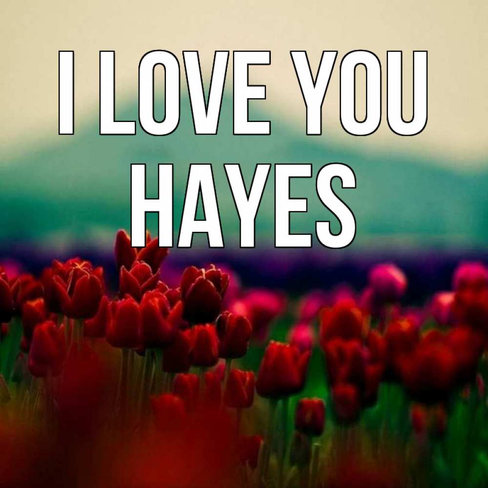 Greetings card с именем, Hayes I love you тюльпаны 4 Greetings with text for free download 