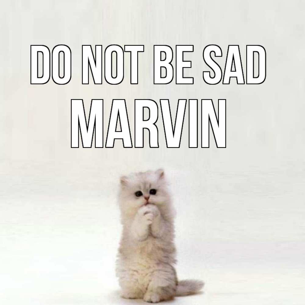Greetings card с именем, Marvin Do not be sad грустный кот Greetings with text for free download 
