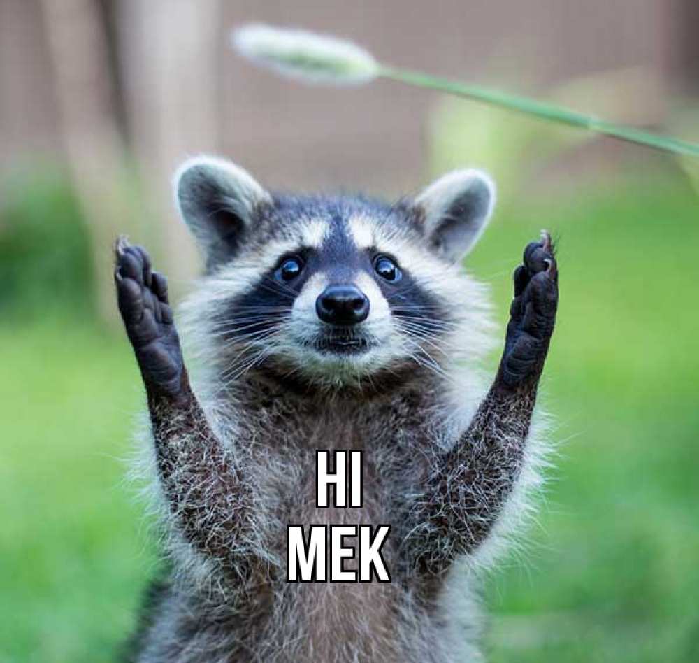 Greetings card с именем, Mekhi Hi животные Greetings with text for free download 