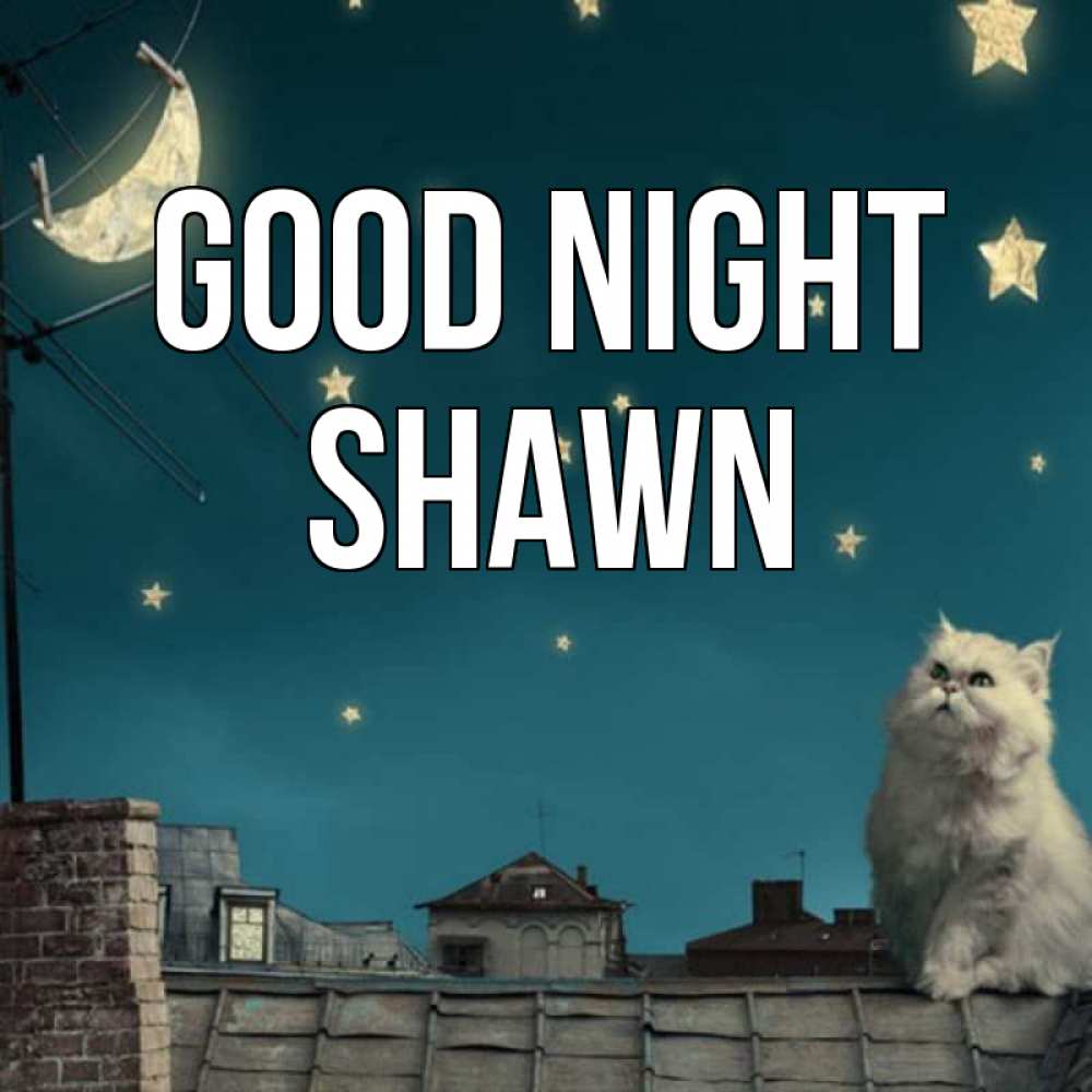 Greetings card с именем, Shawn Good night белый кот сидит на крыше Greetings with text for free download 