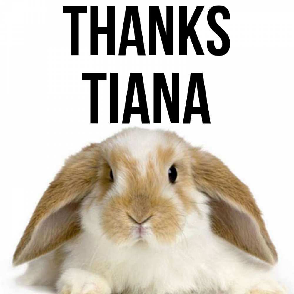 Greetings card с именем, Tiana Thanks коричнево белый заяц Greetings with text for free download 