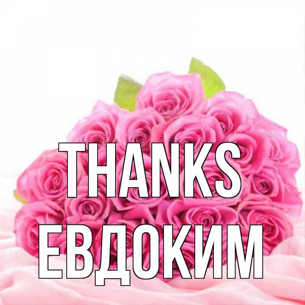 Greetings card с именем, Евдоким Thanks розовые розы с подписью Greetings with text for free download 
