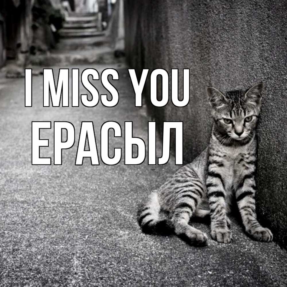 Greetings card с именем, Ерасыл I miss you одиноко котику Greetings with text for free download 