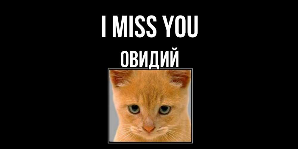 Greetings card с именем, Овидий I miss you открытки рыжий котенок скучает по тебе Greetings with text for free download 