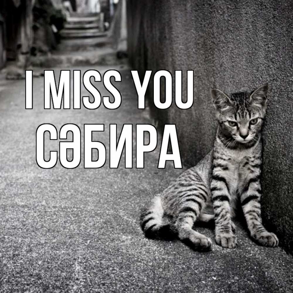 Greetings card с именем, СӘБИРА I miss you одиноко котику Greetings with text for free download 