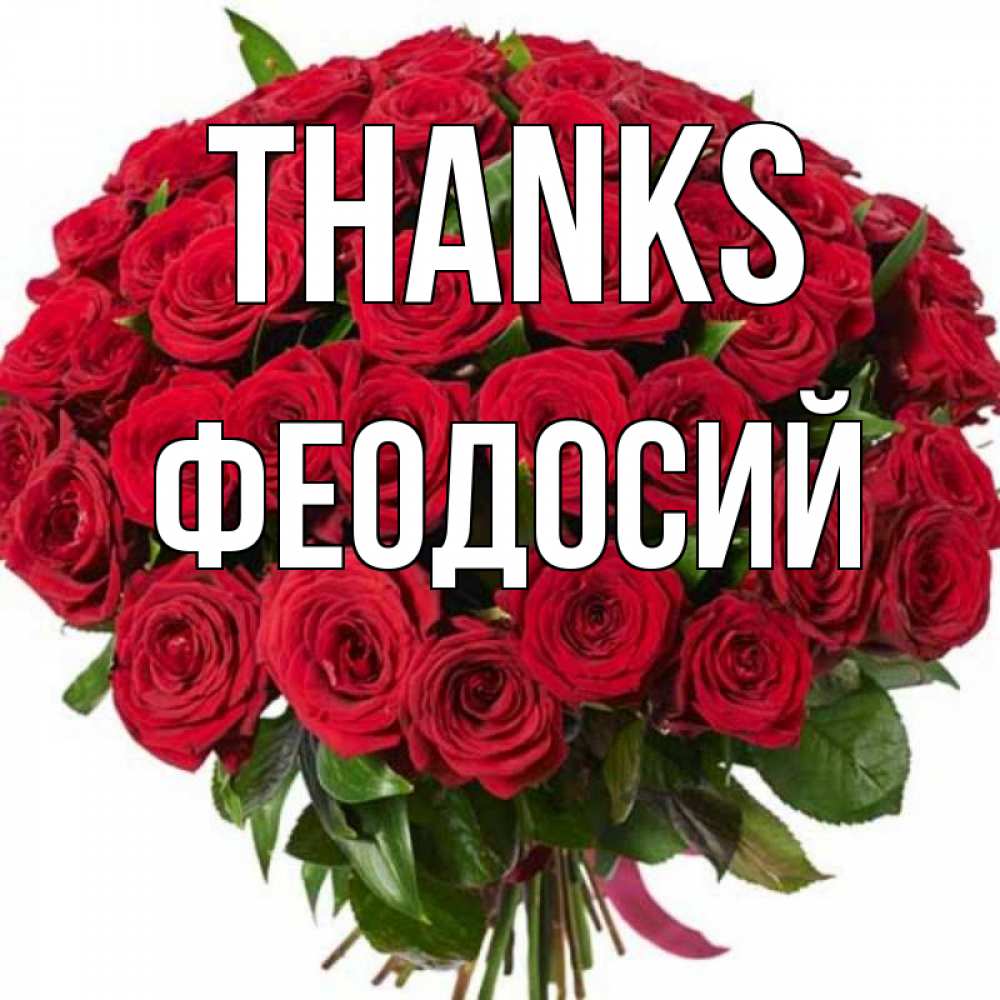 Greetings card с именем, Феодосий Thanks букет красных роз Greetings with text for free download 