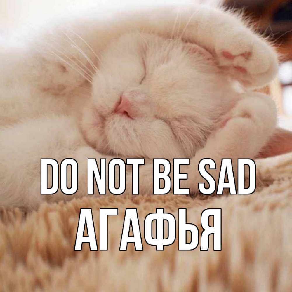 Greetings card с именем, Агафья Do not be sad белый кот Greetings with text for free download 