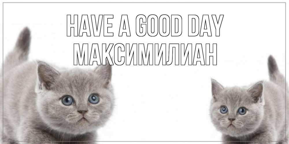 Greetings card с именем, Максимилиан Have a good day открытка с котами Greetings with text for free download 