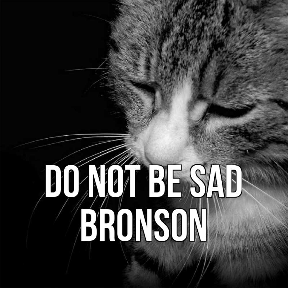 Greetings card с именем, Bronson Do not be sad грустный котик Greetings with text for free download 