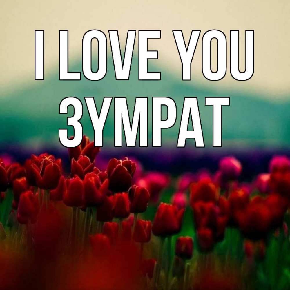 Greetings card с именем, ЗҮМРАТ I love you тюльпаны 4 Greetings with text for free download 