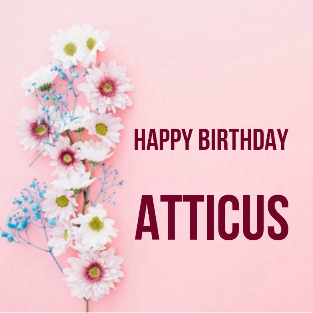 Greetings card с именем, Atticus Happy Birthday Родная моя с днем рождения тебя картинка с цветами белыми и голубыми Greetings with text for free download 