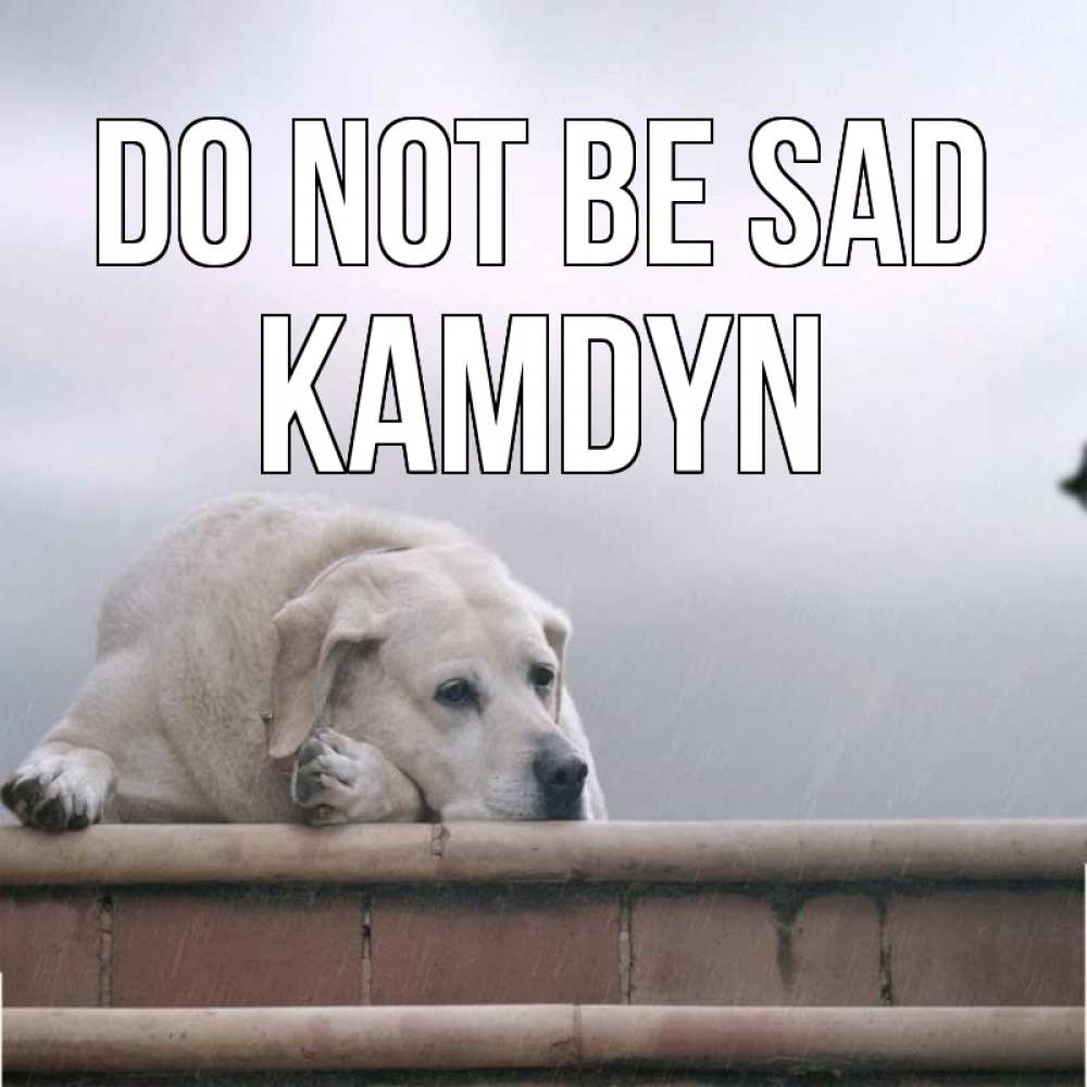 Greetings card с именем, Kamdyn Do not be sad белый пес 1 Greetings with text for free download 