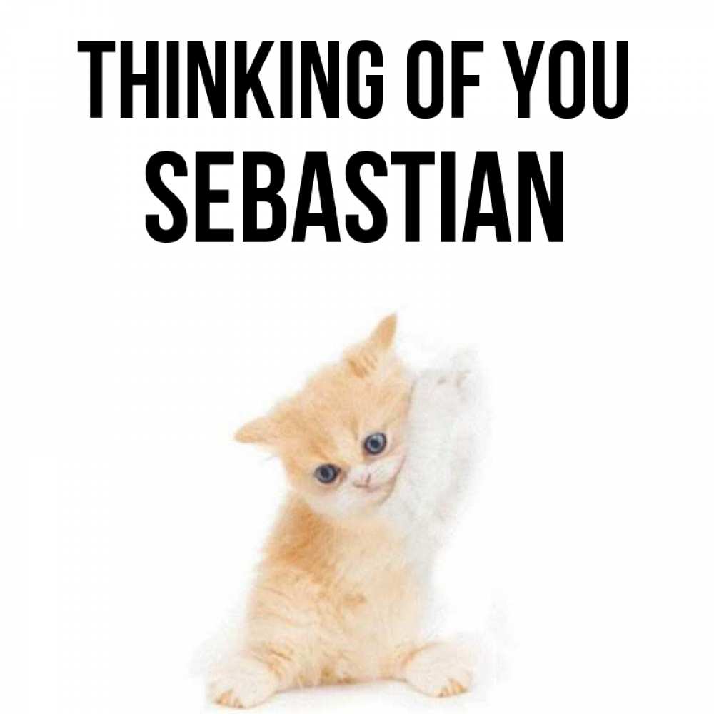 Greetings card с именем, Sebastian Thinking of you зверушки и милота Greetings with text for free download 