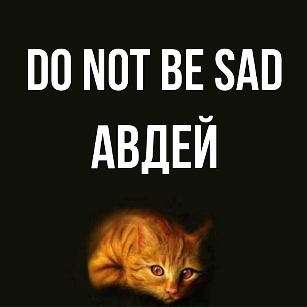Greetings card с именем, Авдей Do not be sad лежащий кот в темноте Greetings with text for free download 