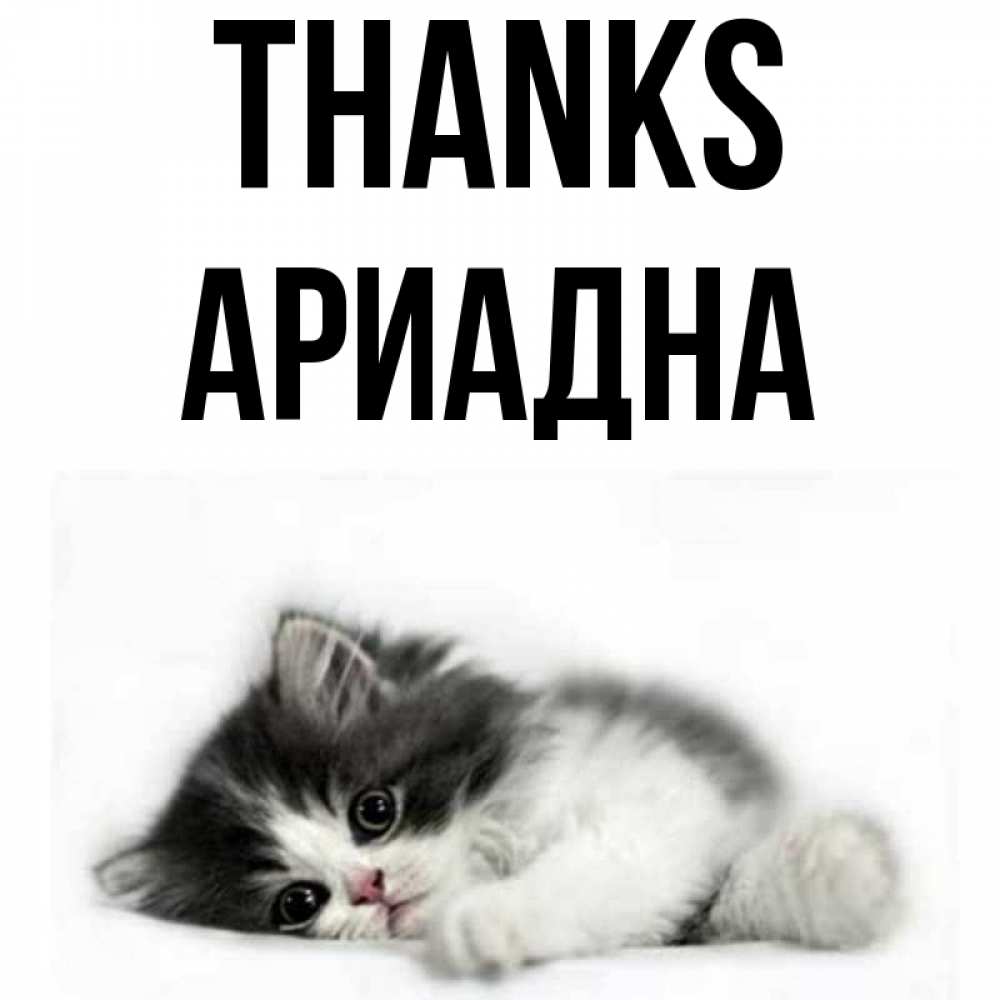 Greetings card с именем, Ариадна Thanks черный и белый кот Greetings with text for free download 