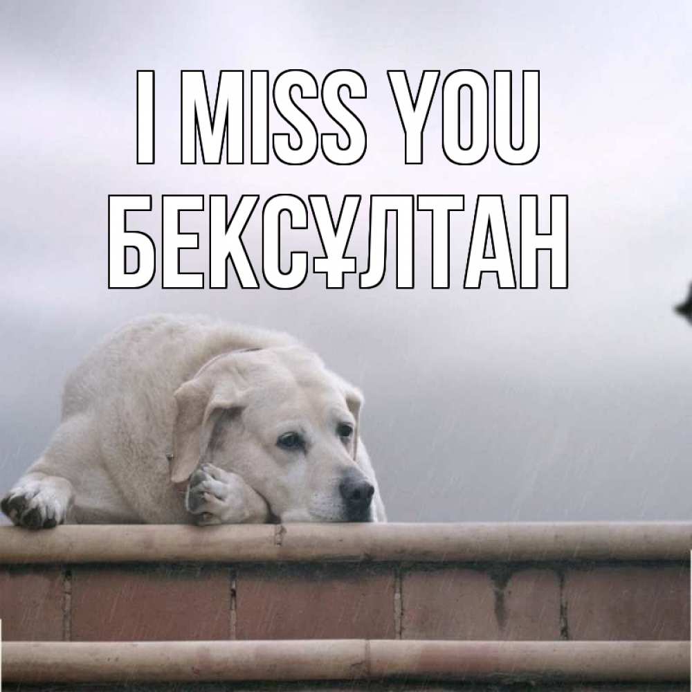 Greetings card с именем, Бексұлтан I miss you ждет Greetings with text for free download 